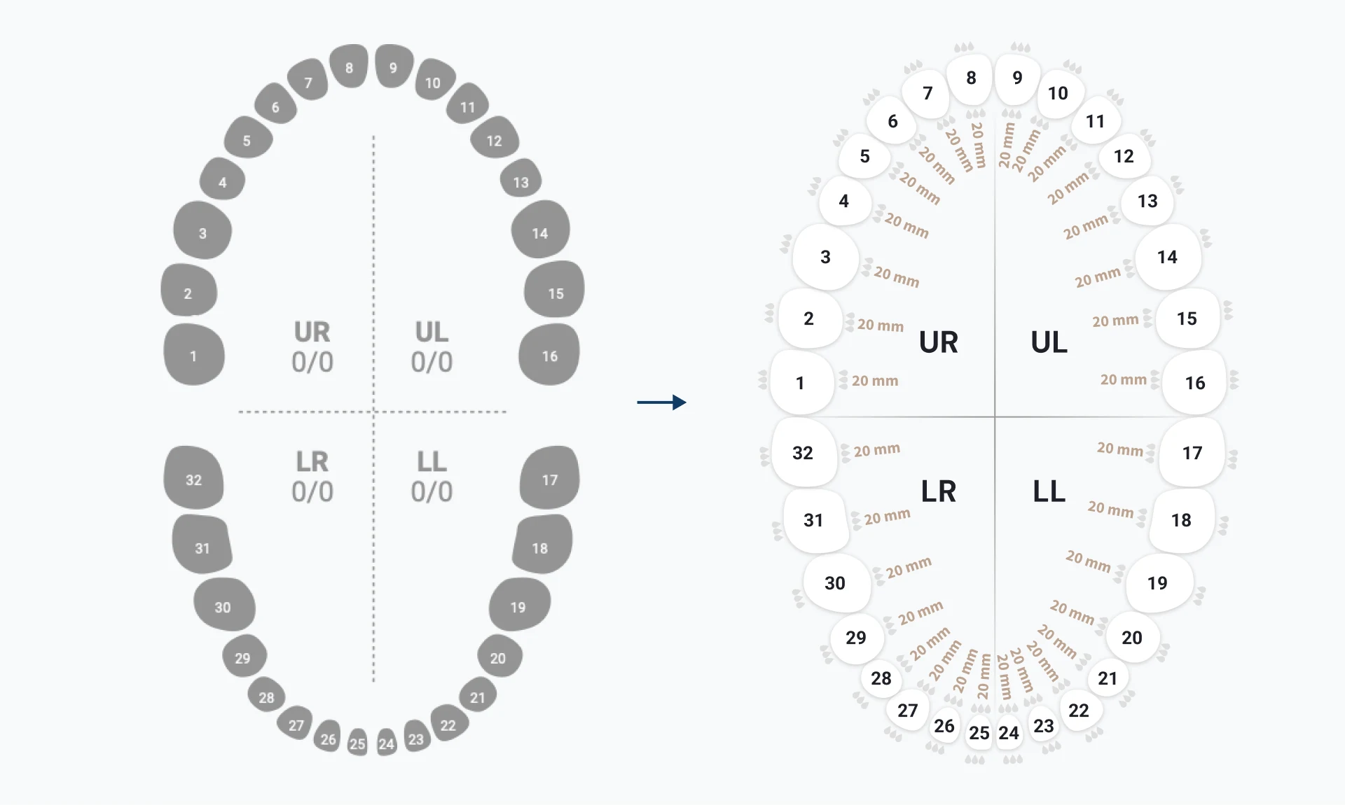 Old and new tooth chart, schematically: each tooth now has room for its six bleeding sites and pocket depth